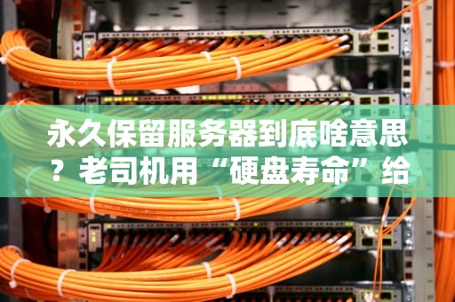永久保留服务器到底啥意思？老司机用“硬盘寿命”给你整明白！