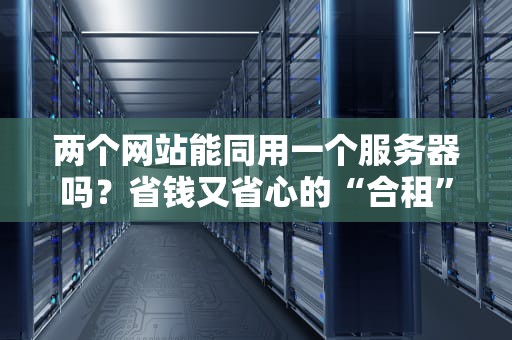 两个网站能同用一个服务器吗？省钱又省心的“合租”指南！