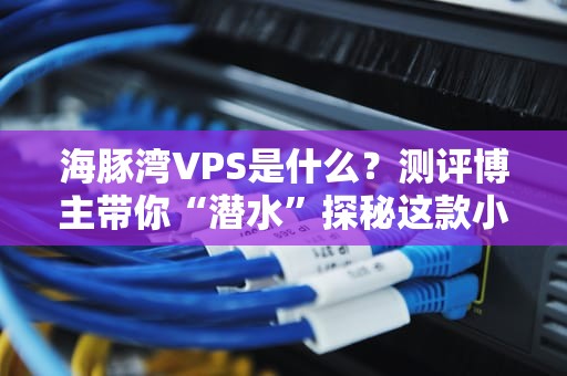 海豚湾VPS是什么？测评博主带你“潜水”探秘这款小众主机！