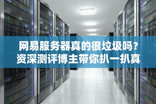 网易服务器真的很垃圾吗？资深测评博主带你扒一扒真相！