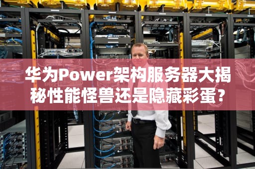 华为Power架构服务器大揭秘性能怪兽还是隐藏彩蛋？