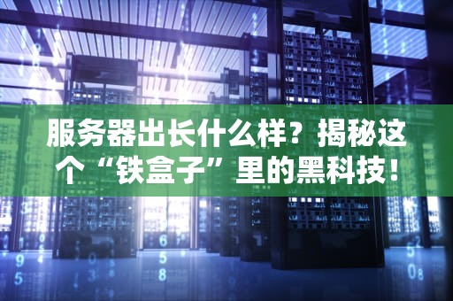 服务器出长什么样？揭秘这个“铁盒子”里的黑科技！