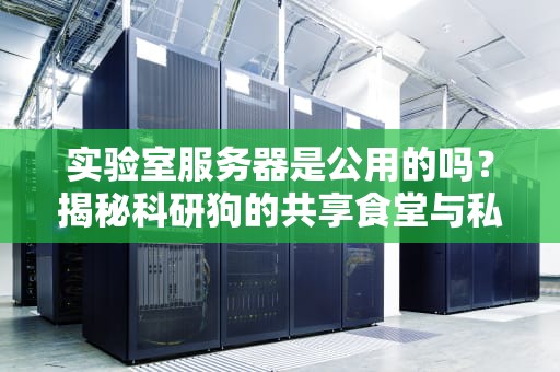 实验室服务器是公用的吗？揭秘科研狗的共享食堂与私人厨房！