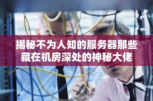 仁王有国内服务器吗？资深工程师带你一探究竟，顺便聊聊游戏服务器的那些事儿！