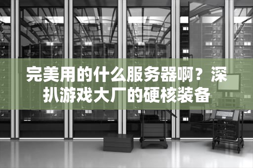美测服选什么服务器好？资深工程师的避坑指南（附性能对比）