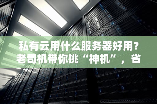 私有云用什么服务器好用？老司机带你挑“神机”，省心又省钱！