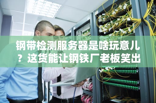 钢带检测服务器是啥玩意儿？这货能让钢铁厂老板笑出猪叫！