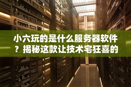 小六玩的是什么服务器软件？揭秘这款让技术宅狂喜的神器！