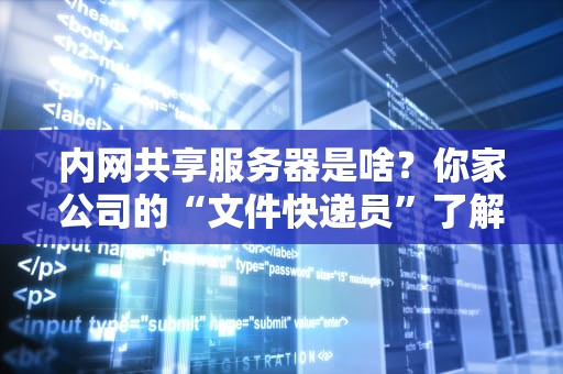 内网共享服务器是啥？你家公司的“文件快递员”了解一下！