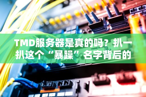 TMD服务器是真的吗？扒一扒这个“暴躁”名字背后的真相！