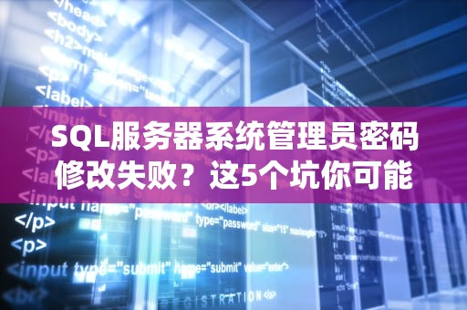 聚水潭用什么服务器？揭秘电商SaaS背后的技术铁三角