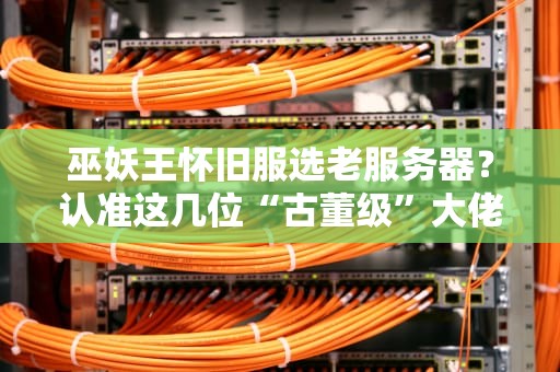 巫妖王怀旧服选老服务器？认准这几位“古董级”大佬！