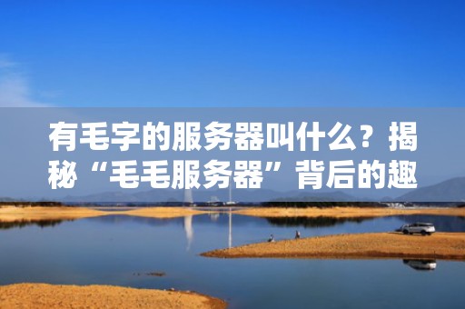 HTTP服务器是硬件吗？揭秘这个软硬兼施的技术真相！
