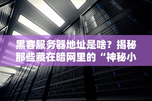 黑客服务器地址是啥？揭秘那些藏在暗网里的“神秘小黑屋”！