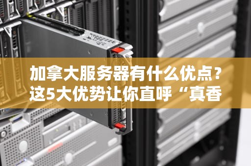 南非服务器名字叫什么来着？揭秘非洲之南的数据狮王