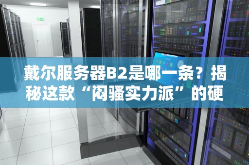 戴尔服务器B2是哪一条？揭秘这款“闷骚实力派”的硬核真身！