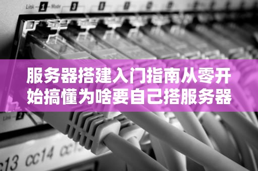 服务器搭建入门指南从零开始搞懂为啥要自己搭服务器？
