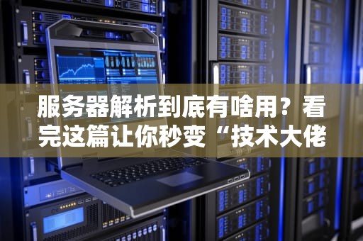 服务器解析到底有啥用？看完这篇让你秒变“技术大佬”！