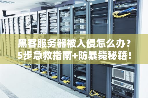 花生棒能建立服务器吗？——小身材也能玩转大网络！
