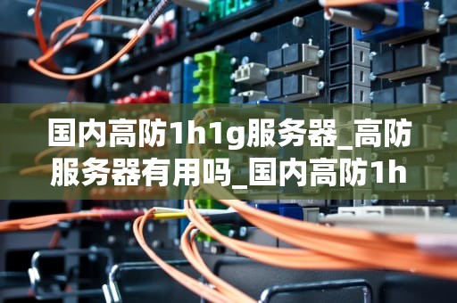 国内高防1h1g服务器_高防服务器有用吗_国内高防1h1g服务器的全面解析