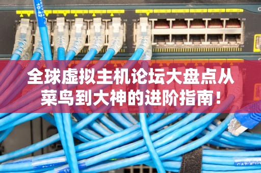全球虚拟主机论坛大盘点从菜鸟到大神的进阶指南！