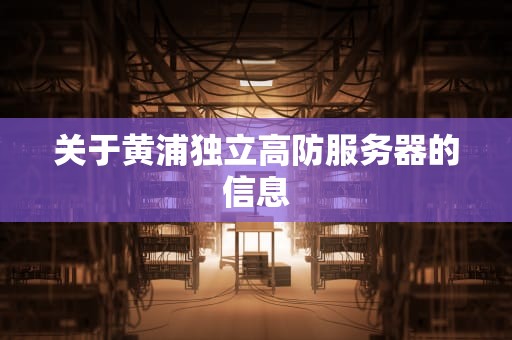 关于黄浦独立高防服务器的信息