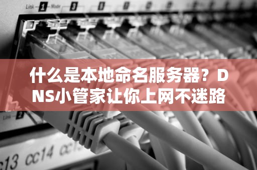 什么是本地命名服务器？DNS小管家让你上网不迷路！