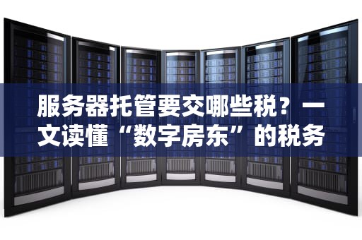 美国服务器5兆带宽快吗？——资深工程师用龟兔赛跑给你讲明白！