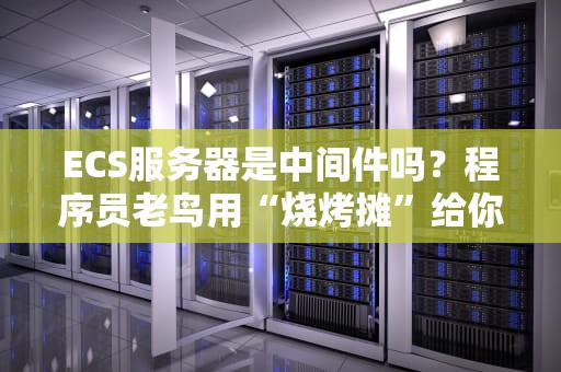 燃烧意志服务器大盘点从菜鸟到老司机的终极指南