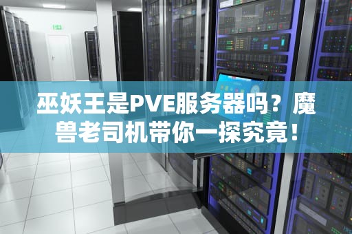 赢家包机服务器是什么？——资深工程师带你揭秘私人飞机级服务器