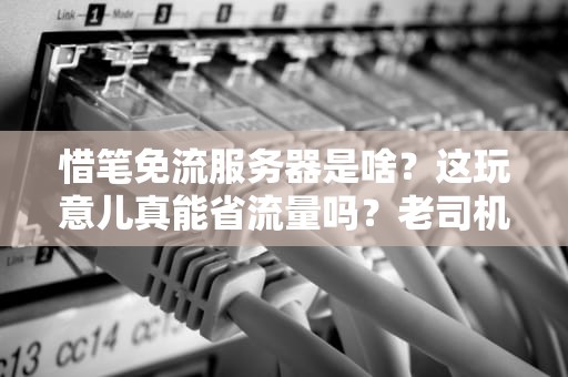 惜笔免流服务器是啥？这玩意儿真能省流量吗？老司机实测揭秘！