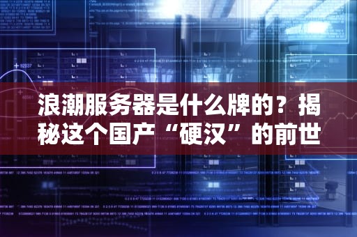 服务器第三部分叫啥？揭秘神秘后厨存储系统的搞笑日常