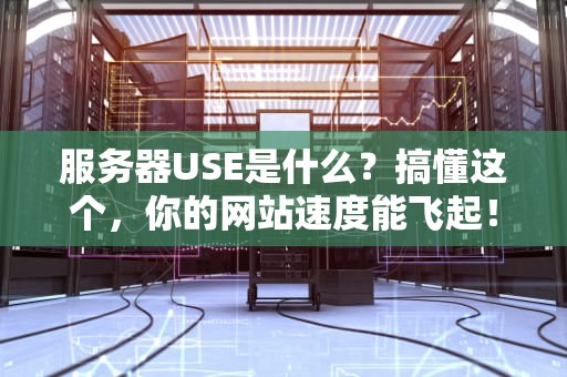 服务器USE是什么？搞懂这个，你的网站速度能飞起！