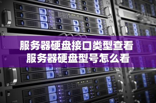 服务器硬盘接口类型查看 服务器硬盘型号怎么看