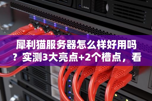 犀利猫服务器怎么样好用吗？实测3大亮点+2个槽点，看完再剁手！