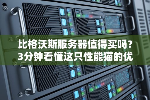 比格沃斯服务器值得买吗？3分钟看懂这只性能猫的优缺点！