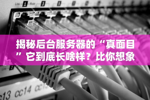 战地1服务器选购指南高玩必备的战场后勤手册