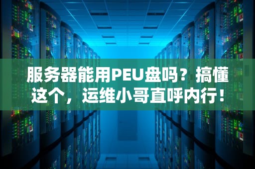 服务器能用PEU盘吗？搞懂这个，运维小哥直呼内行！