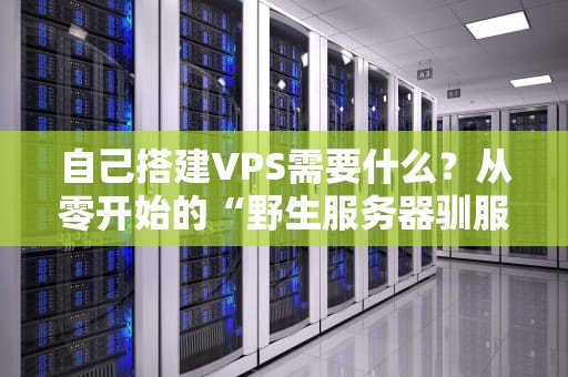 自己搭建VPS需要什么？从零开始的“野生服务器驯服指南”