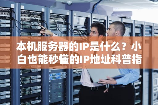 本机服务器的IP是什么？小白也能秒懂的IP地址科普指南！
