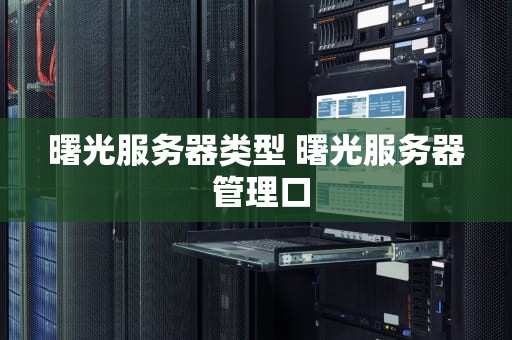 曙光服务器类型 曙光服务器 管理口