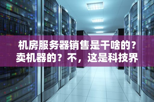 机房服务器销售是干啥的？卖机器的？不，这是科技界的“金牌中介”！