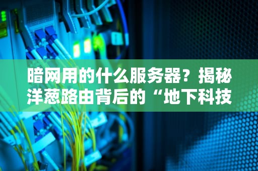 暗网用的什么服务器？揭秘洋葱路由背后的“地下科技”