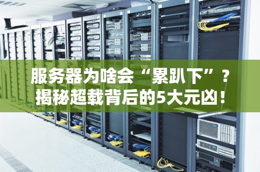 服务器可以下载电影吗？揭秘IT工程师的私藏技巧！