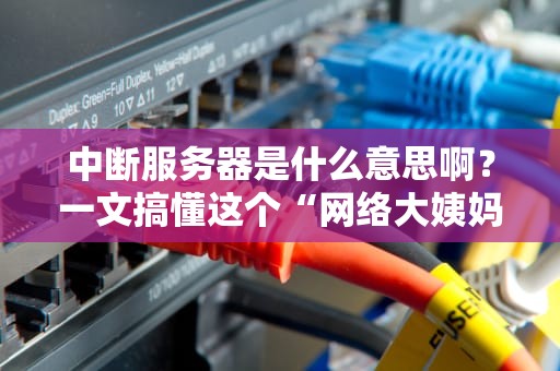 中断服务器是什么意思啊？一文搞懂这个“网络大姨妈”的来龙去脉！