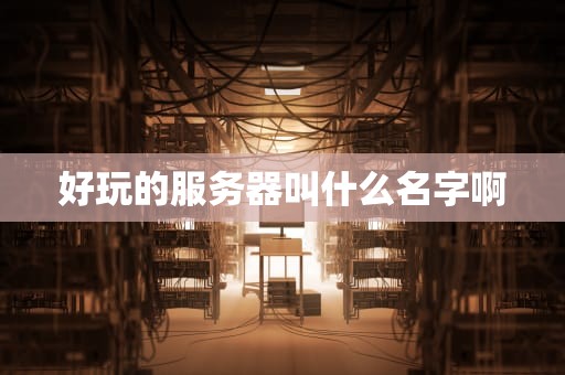 好玩的服务器叫什么名字啊