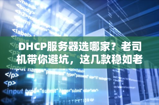 DHCP服务器选哪家？老司机带你避坑，这几款稳如老狗！