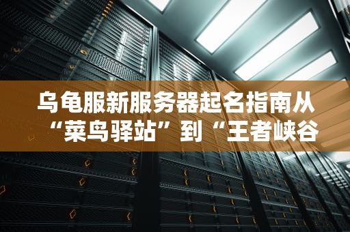 乌龟服新服务器起名指南从“菜鸟驿站”到“王者峡谷”的脑洞大赏