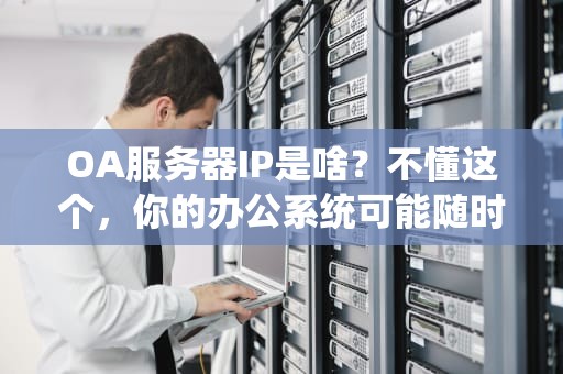 OA服务器IP是啥？不懂这个，你的办公系统可能随时“罢工”！