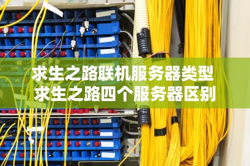 求生之路联机服务器类型 求生之路四个服务器区别